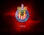 My Avatar