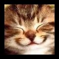 My Avatar
