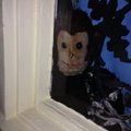 My Avatar