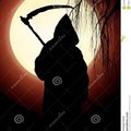 My Avatar