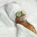 My Avatar