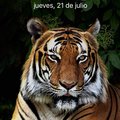My Avatar