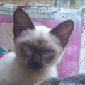 My Avatar
