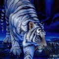 My Avatar