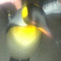 My Avatar