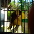 My Avatar