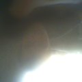 My Avatar