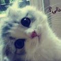 My Avatar