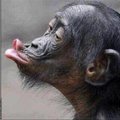 My Avatar