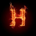 My Avatar
