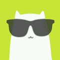 My Avatar