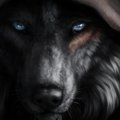 My Avatar