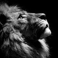 My Avatar