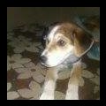 My Avatar