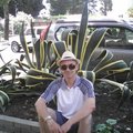 My Avatar