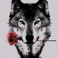 My Avatar