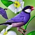 My Avatar