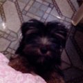 My Avatar