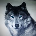 dance's w/wolves