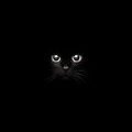 My Avatar