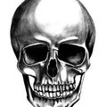 My Avatar