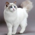 My Avatar