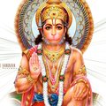 My Avatar