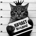 My Avatar