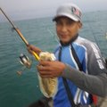 My Avatar