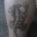 My Avatar