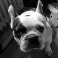 My Avatar
