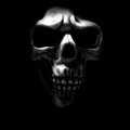 My Avatar