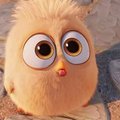 My Avatar