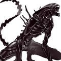 My Avatar