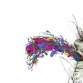 My Avatar