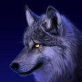 My Avatar