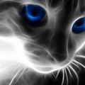 My Avatar