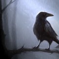 My Avatar