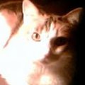 My Avatar