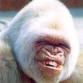 My Avatar