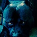 My Avatar