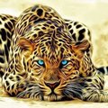 My Avatar