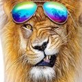 My Avatar