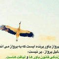 My Avatar