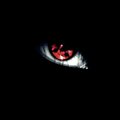 My Avatar