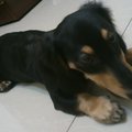 My Avatar