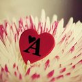 My Avatar
