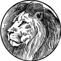 My Avatar
