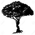 My Avatar